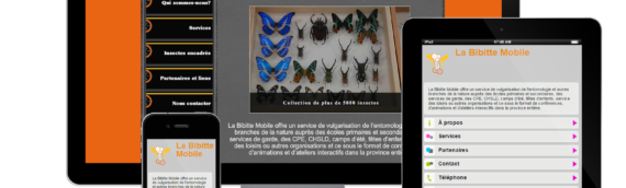 Site Internet – La Bibitte Mobile